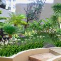 Contoh bentuk bunga taman yang cantik