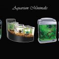 Aquarium Hias Minimalis
