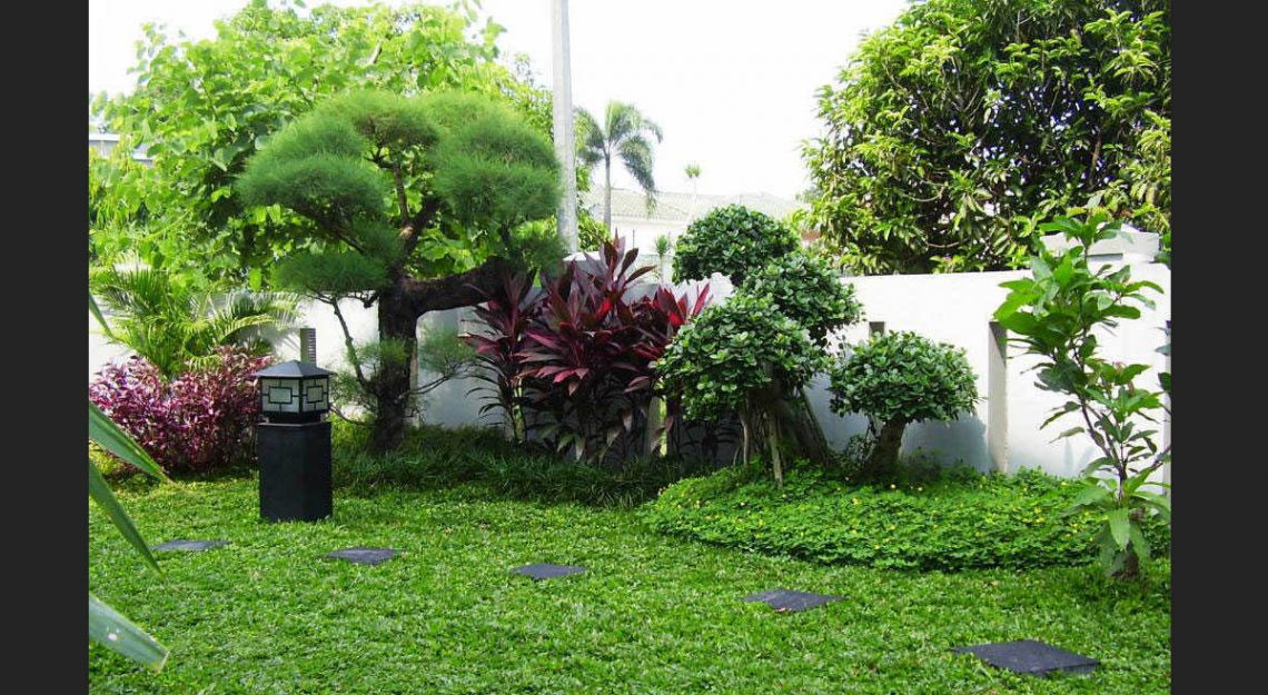 Tips Agar Halaman Terlihat Luas