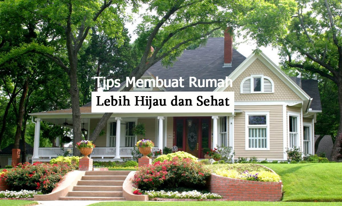 Tips Membuat Rumah Lebih Hijau dan Sehat